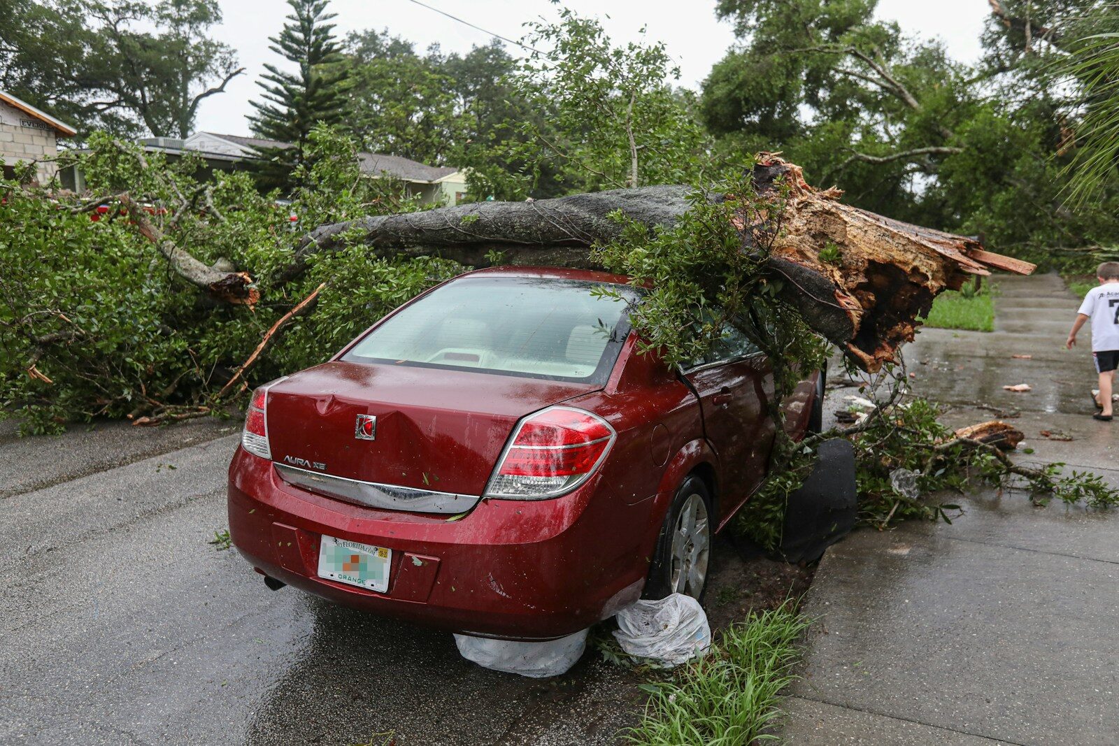 Does Comprehensive Auto Coverage Pay for Fallen Trees or Lightning Damage?